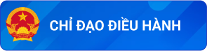 Chỉ đạo điều hành