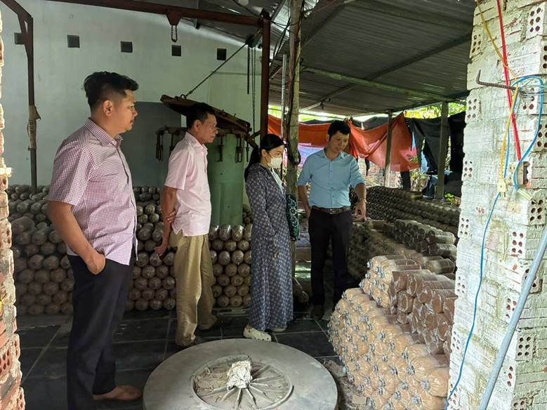 Thăng Bình rà soát các mô hình nông nghiệp công nghệ cao, kinh tế xanh